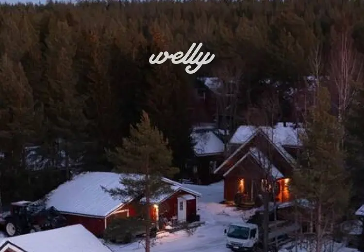 welly_header.webp